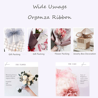 Organza Ribbon RS6mmY043-1