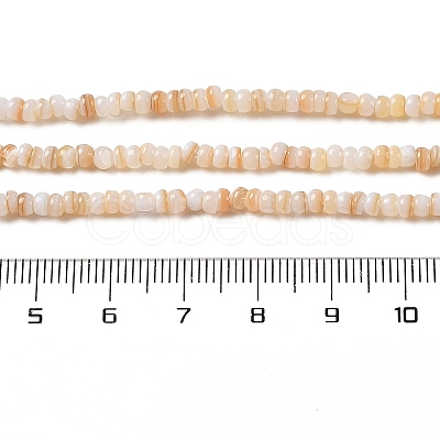 Natural Freshwater Shell Beads Strands SHEL-P017-01B-10-1