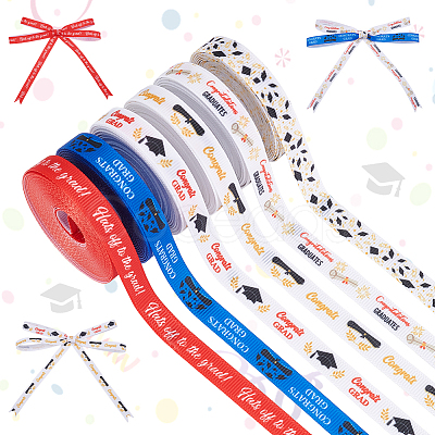 6 Rolls 6 Colors Polyester Ribbon OCOR-UN0001-12-1