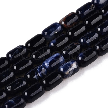 Natural Sodalite Beads Strands G-G980-37B-1