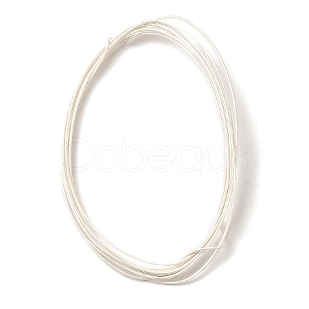 925 Sterling Silver Wire STER-D002-0.8mm-A-1