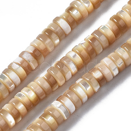 Natural Trochid Shell/Trochus Shell Beads Strands SSHEL-S266-019B-02-1