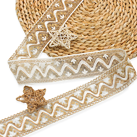 10 Yards Polyester Embroidery Lace Ribbon with Paillette PW-WG94215-03-1