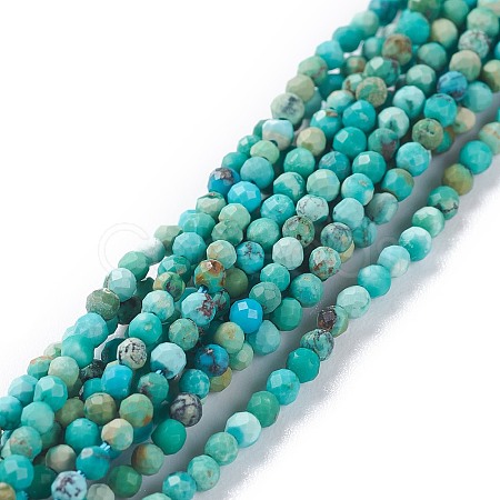 Natural HuBei Turquoise Beads Strands G-A026-A10-2mm-1