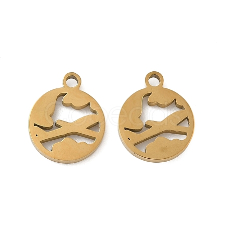 304 Stainless Steel Charms STAS-D208-10G-1
