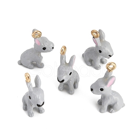 Alloy Enamel Pendants AL-CBAC5EF-03G-02-1