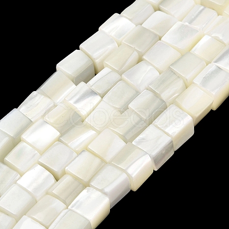 Natural Trochid Shell/Trochus Shell Beads Strands SHEL-C010-05A-1