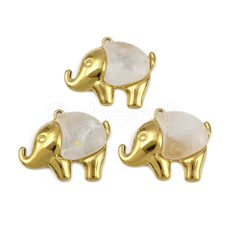 304 Stainless Steel Resin Pendants STAS-L302-05G-1