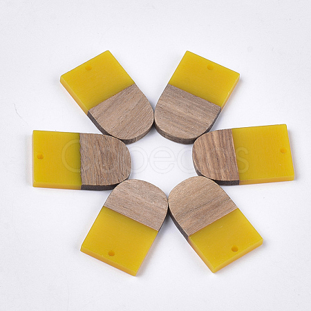 Resin & Walnut Wood Pendants X-RESI-S358-34G-1