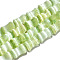 Dyed Natural Selenite Beads Strands, Bamboo Joint, Yellow Green, 12.5x7.5~8mm, Hole: 1~1.2mm, about 31pcs/strand, 15.35''(39cm)