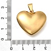 304 Stainless Steel Pendants STAS-H200-01G-02-3