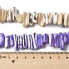 Dyed Natural Trochus Shell Beads Strands SSHEL-C013-09-4