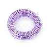 Round Anodized Aluminum Wire AW-S001-3.0mm-06-1