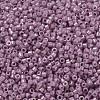 MIYUKI Delica Beads Small SEED-X0054-DBS0253-3