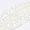 Natural Trochid Shell/Trochus Shell Beads Strands SSHEL-L016-13A-1