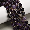 Natural Amethyst Beads Strands G-P568-B01-01-1