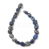 Natural Lapis Lazuli Beads Strands G-C286-A06-4