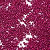 Baking Paint Glass Seed Beads X-SEED-S042-05B-70-3