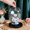 Arch Glass Dome Cover AJEW-WH0481-606B-3