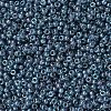MIYUKI Round Rocailles Beads SEED-G007-RR0314-3