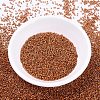 MIYUKI Delica Beads SEED-J020-DB0421-2