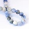 Natural Sodalite Round Bead Strands G-E334-4mm-08-3