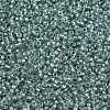 MIYUKI Round Rocailles Beads SEED-JP0010-RR3532-3