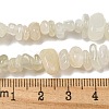 Natural White Moonstone Beads Strands G-P332-01-7