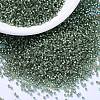 MIYUKI Delica Beads SEED-X0054-DB2165-1