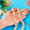 1 Strand Natural Seashell Shell Beads Strands SSHEL-TA0001-13-6
