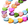 Natural Freshwater Shell Beads Strands SHEL-S278-024B-3