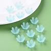 Transparent Acrylic Beads MACR-S373-47-D07-7