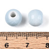 Handmade Porcelain Beads PORC-T133-11A-18-3