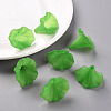 Transparent Acrylic Beads X-BSF796-C07-8