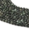 Natural Seraphinite Beads Strands G-K376-A02-5mm-4