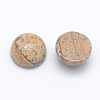 Natural Picture Jasper Cabochons G-E492-H-04-2