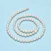 Natural Cultured Freshwater Pearl Beads Strands PEAR-J006-07C-2