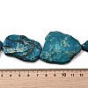 Natural Regalite/Imperial Jasper/Sea Sediment Jasper Beads Strands G-E444-11-A02-5