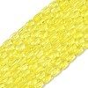 Transparent Glass Beads Strands GLAA-Z018-C24-1