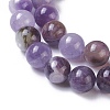 Natural Chevron Amethyst Beads Strands G-I222-10mm-01-3