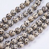 Natural Dalmatian Jasper Stone Bead Strands G-R193-14-10mm-1