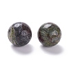 Natural Dragon Bloodstone Beads G-D456-07-2