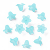 Transparent Acrylic Beads PLF018-13-2