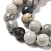 Natural Polychrome Jasper/Picasso Stone/Picasso Jasper Bead Strands G-E571-17A-4