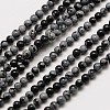 Natural Snowflake Obsidian Round Bead Strands G-A130-2mm-17-1