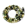 Natural Serpentine Beads Strands G-Q616-07A-3