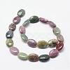 Natural Indian Agate Beads Strands G-N0173-02-13x18mm-2