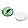 Half Round/Dome Dragon Eye Printed Glass Cabochons GGLA-A002-20mm-AB-2