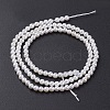 Shell Pearl Bead Strands X-BSHE-P023-5mm-2