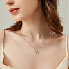 2Pcs 2 Colors Crystal Rhinestone Butterfly Pendant Necklaces Set with Alloy Dapped Chains for Women NJEW-AN0001-67-5
